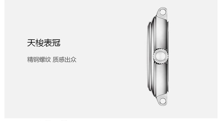 Tissot Watch T126010