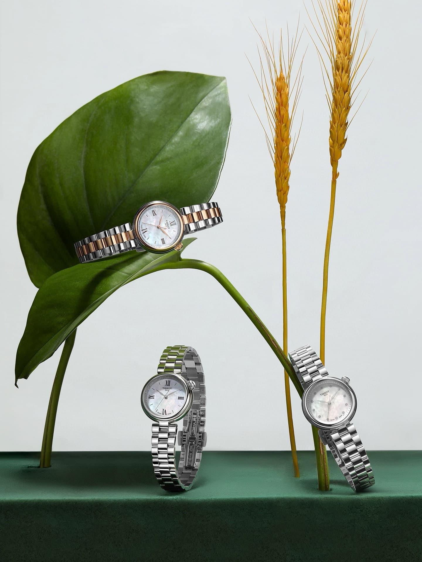 Tissot Watch