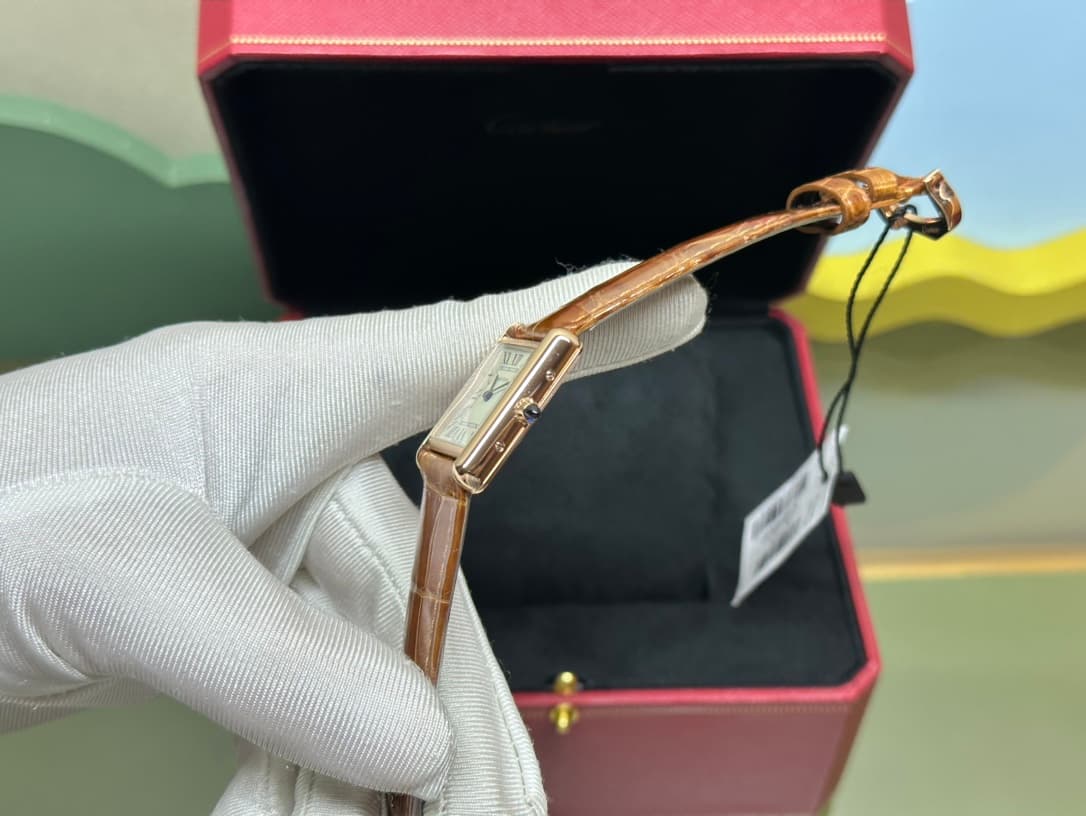 Luxury Watch Brown Small Belt