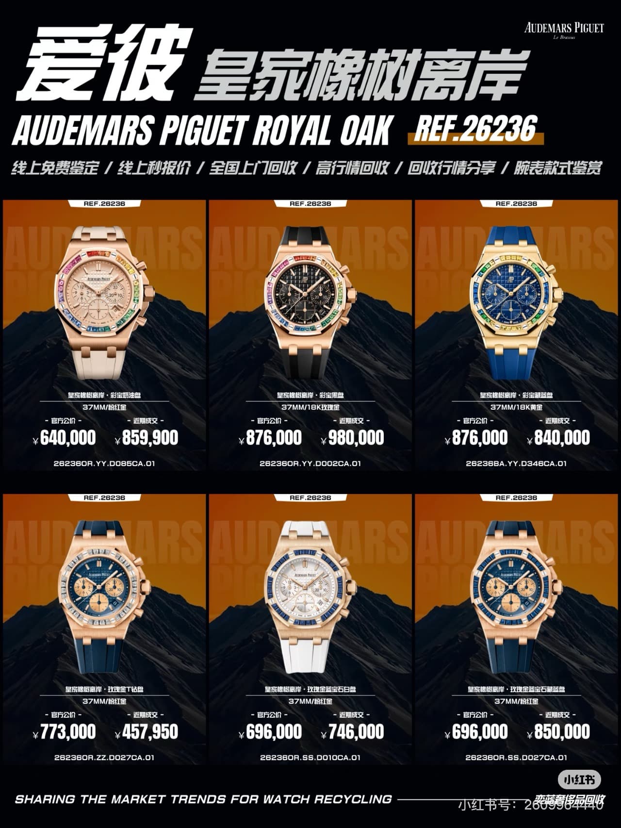 Audemars Piguet Watch