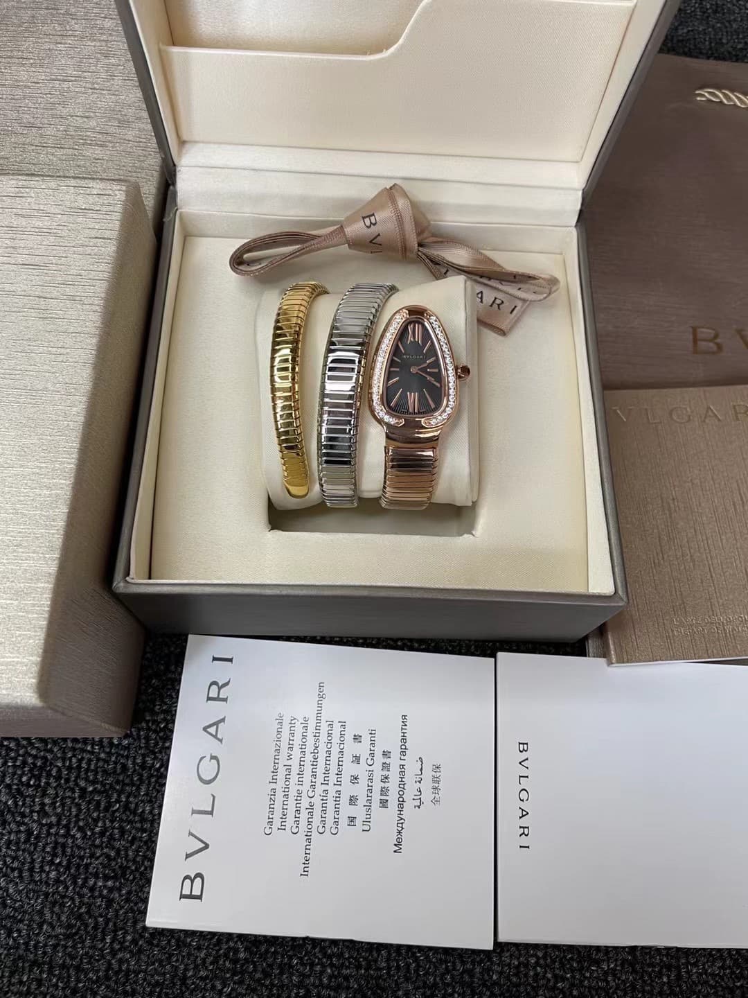Bottega Veneta Watch