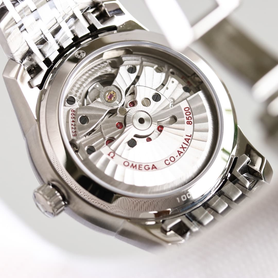 Luxury Watch Black Bag