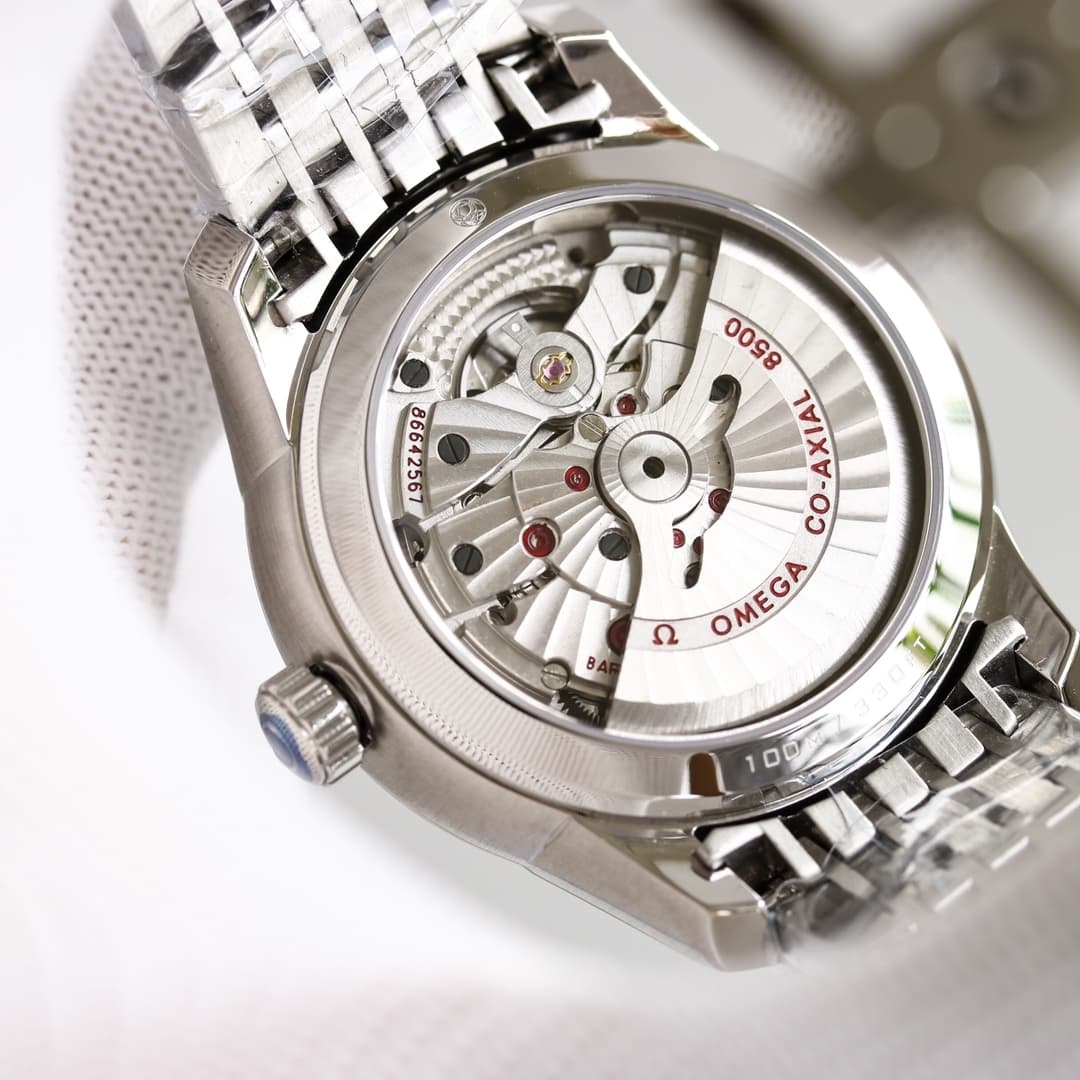 Luxury Watch Black Bag