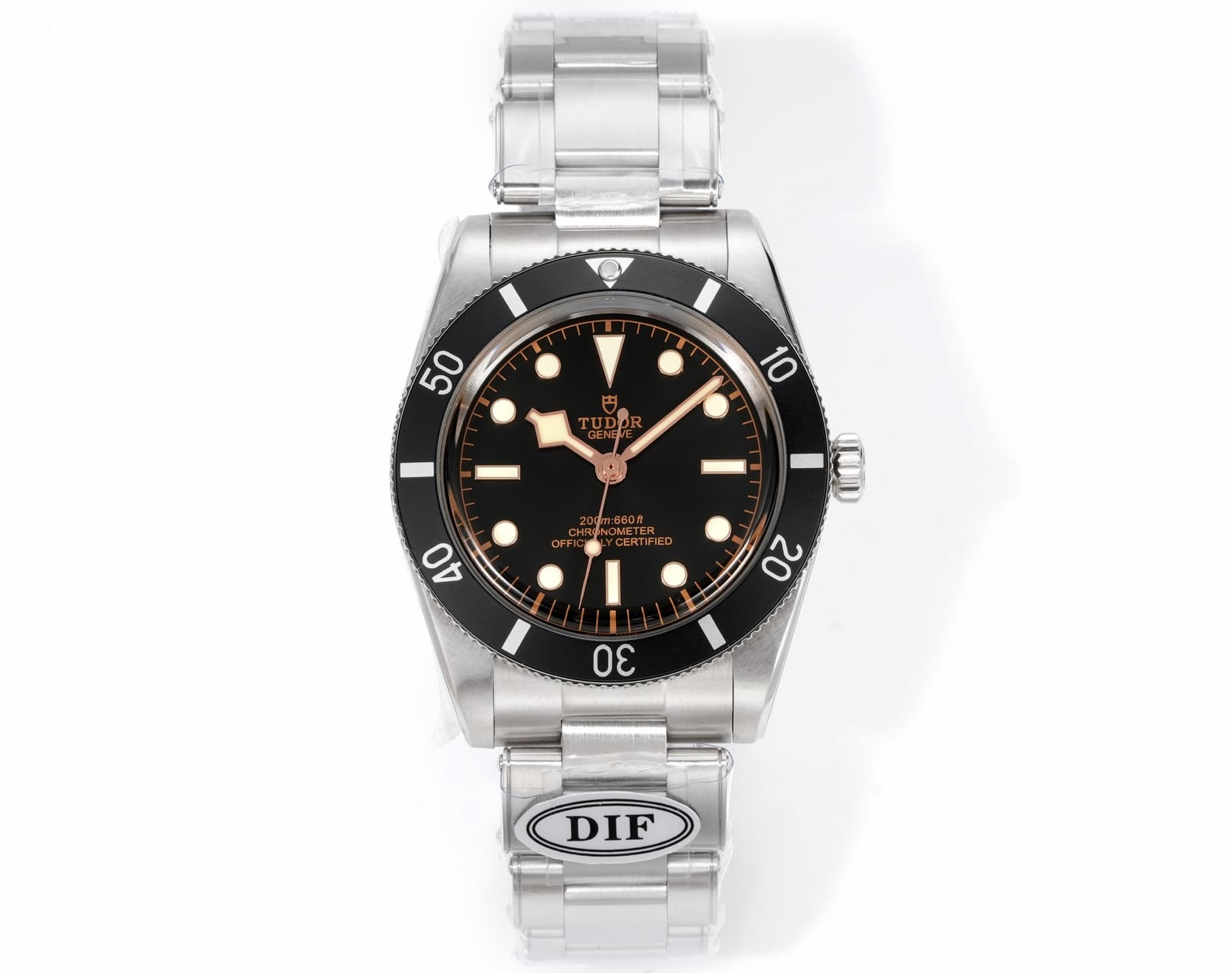 Tudor Watch