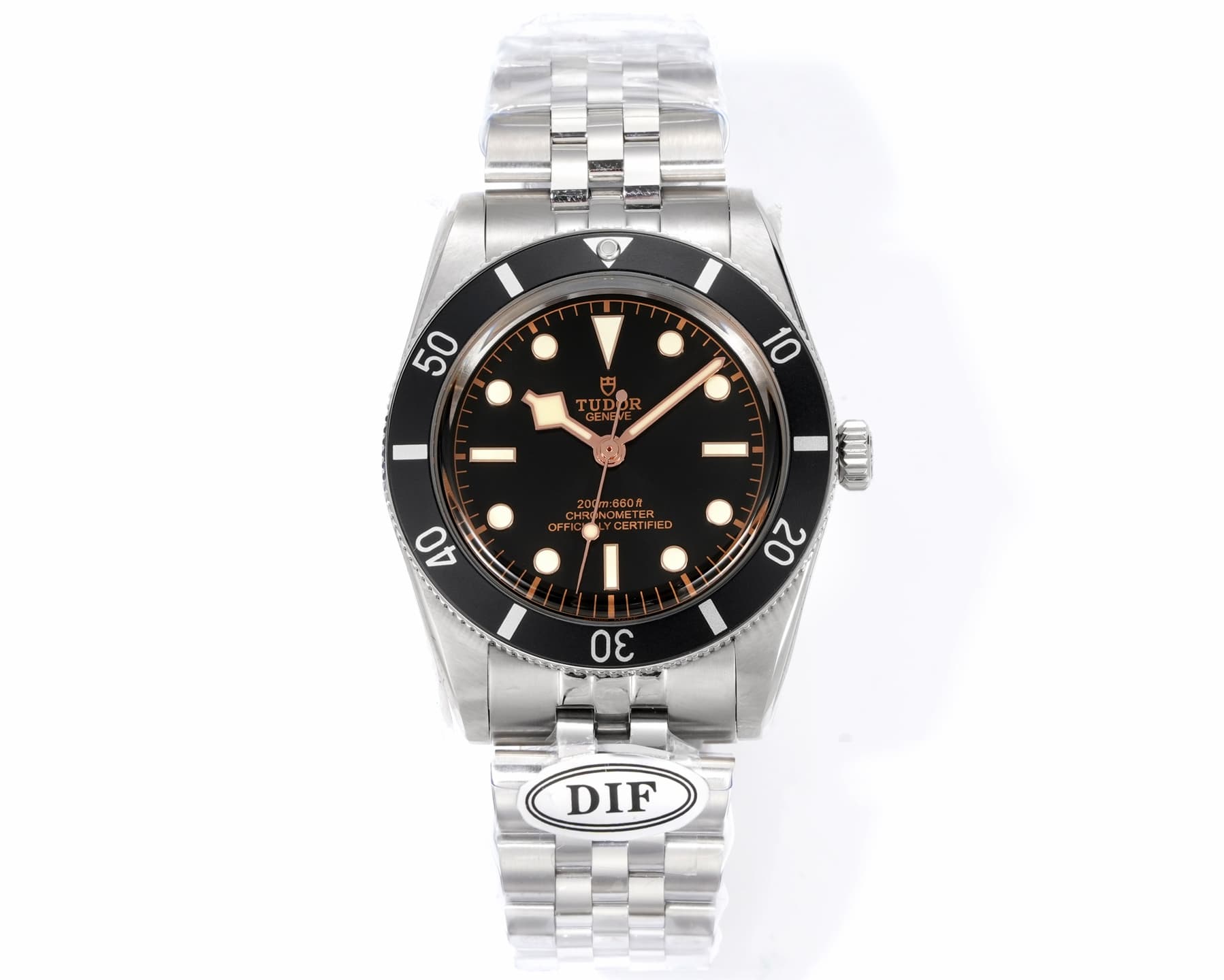 Tudor Watch