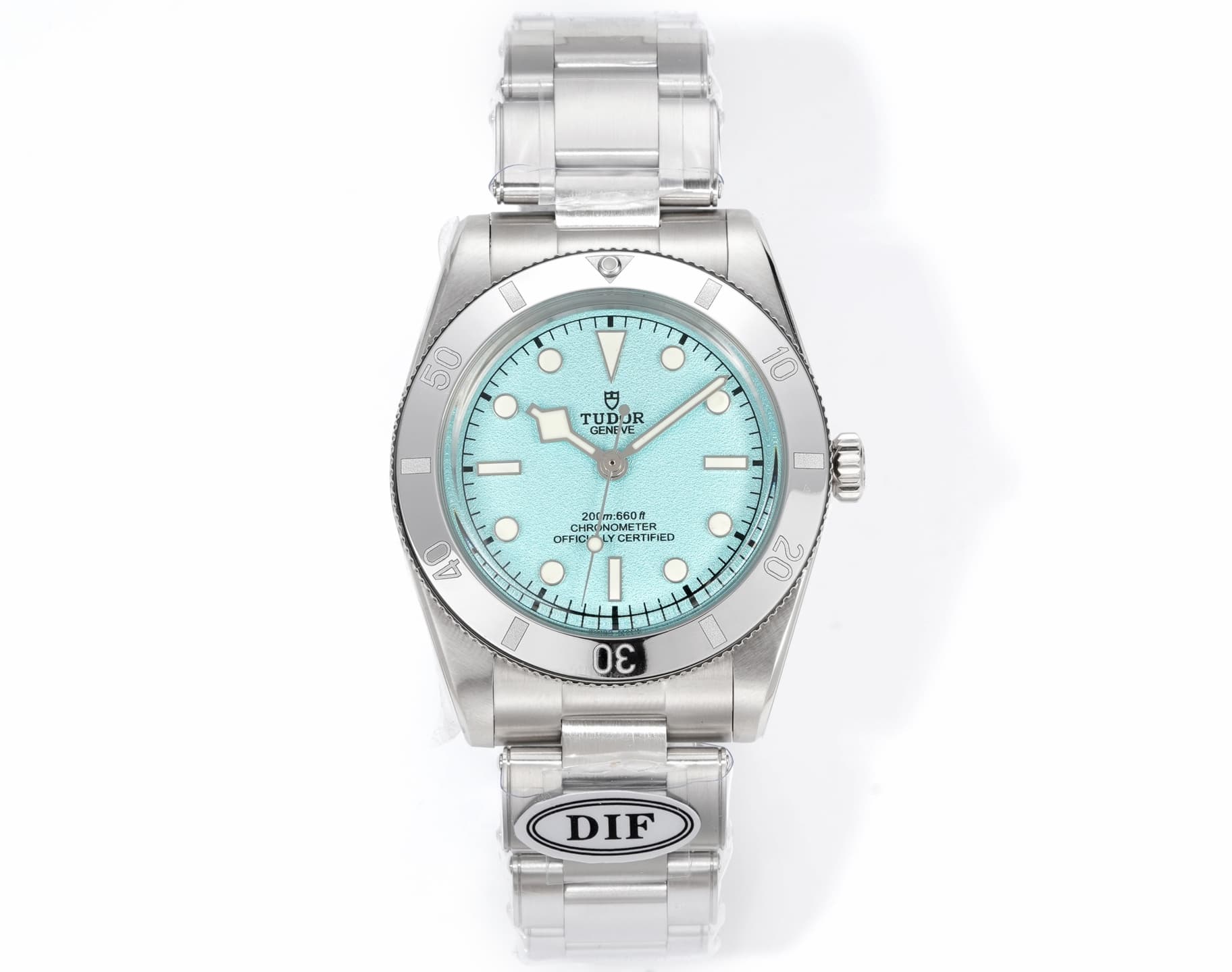 Tudor Watch