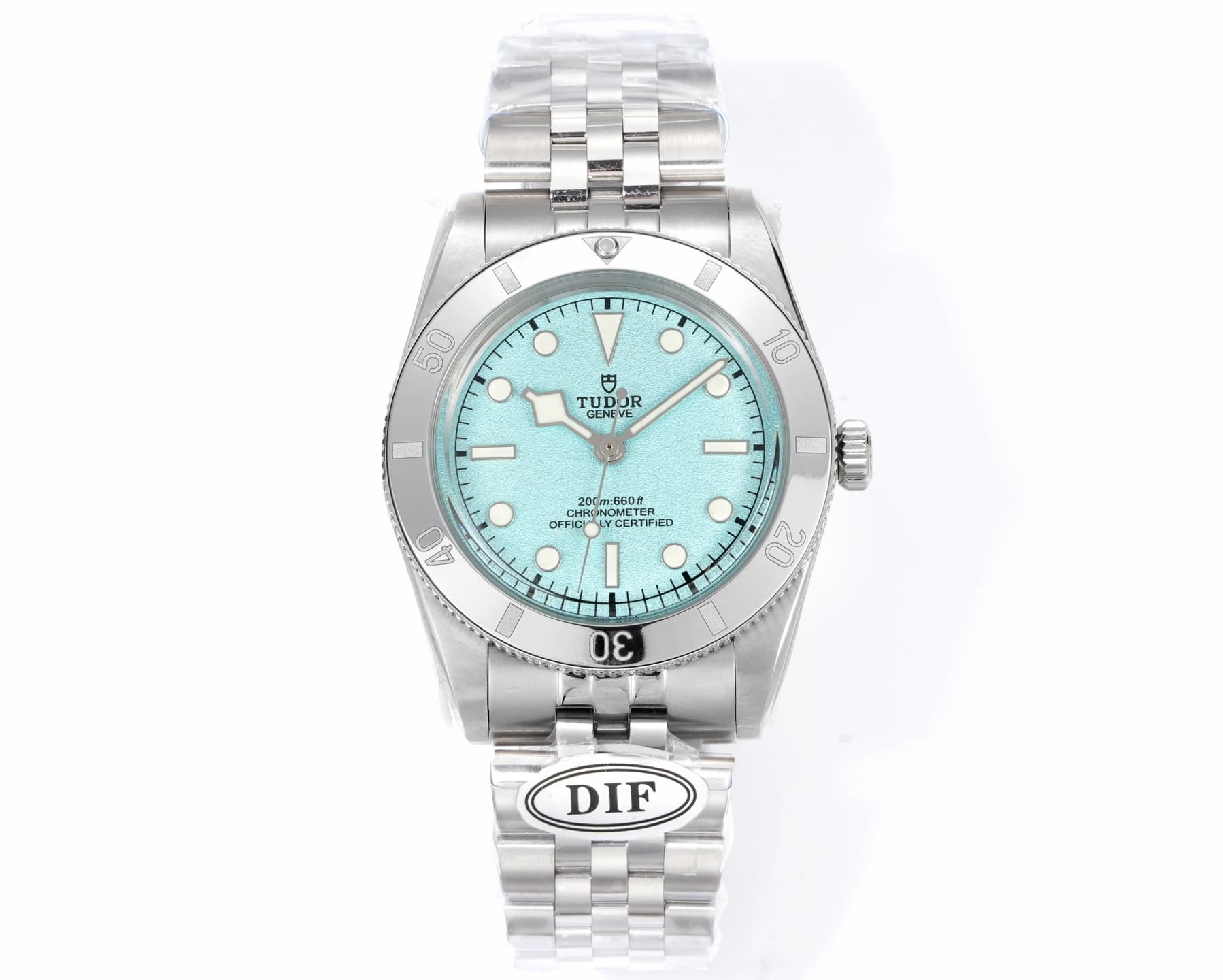 Tudor Watch