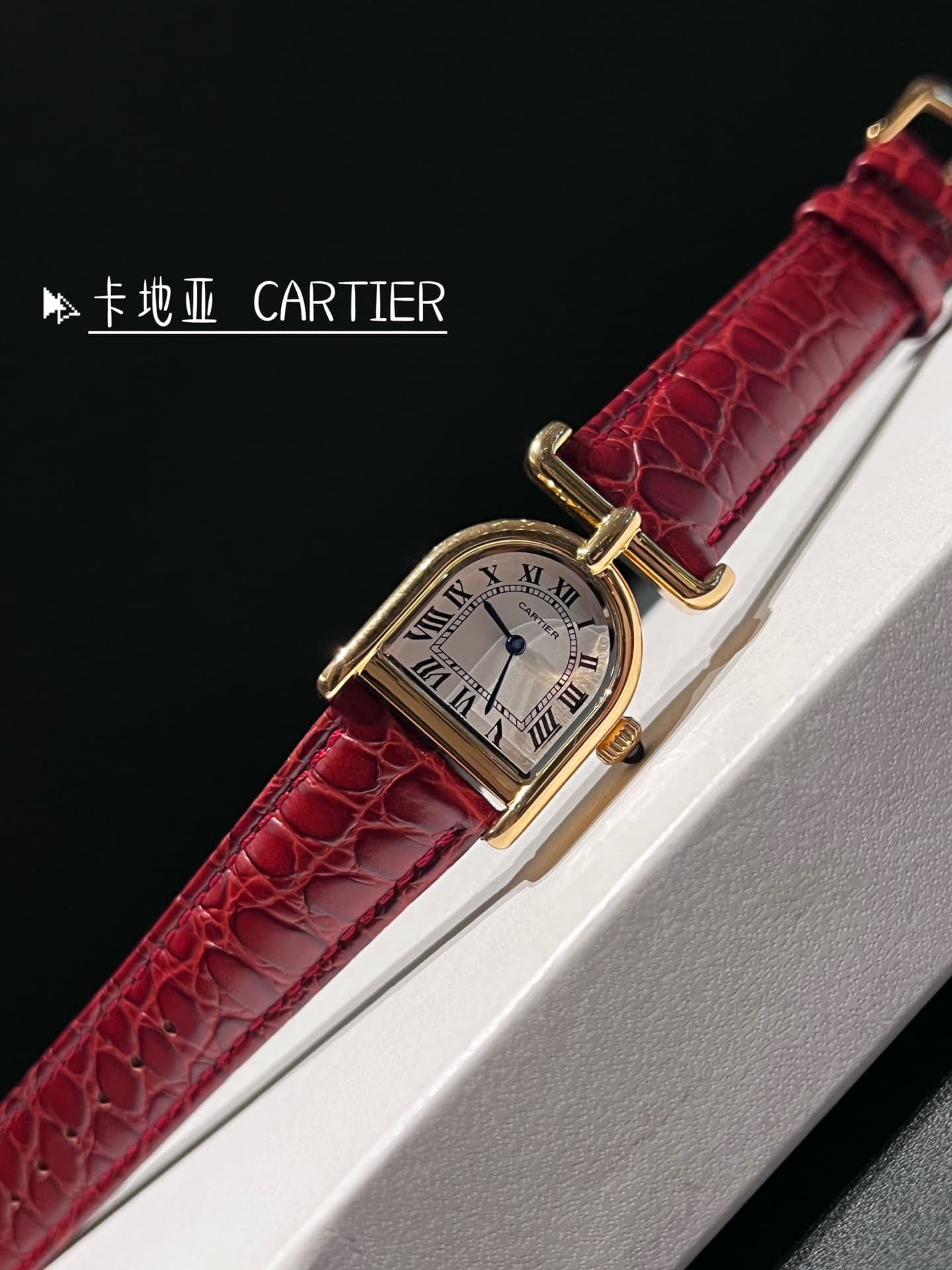 Cartier Watch
