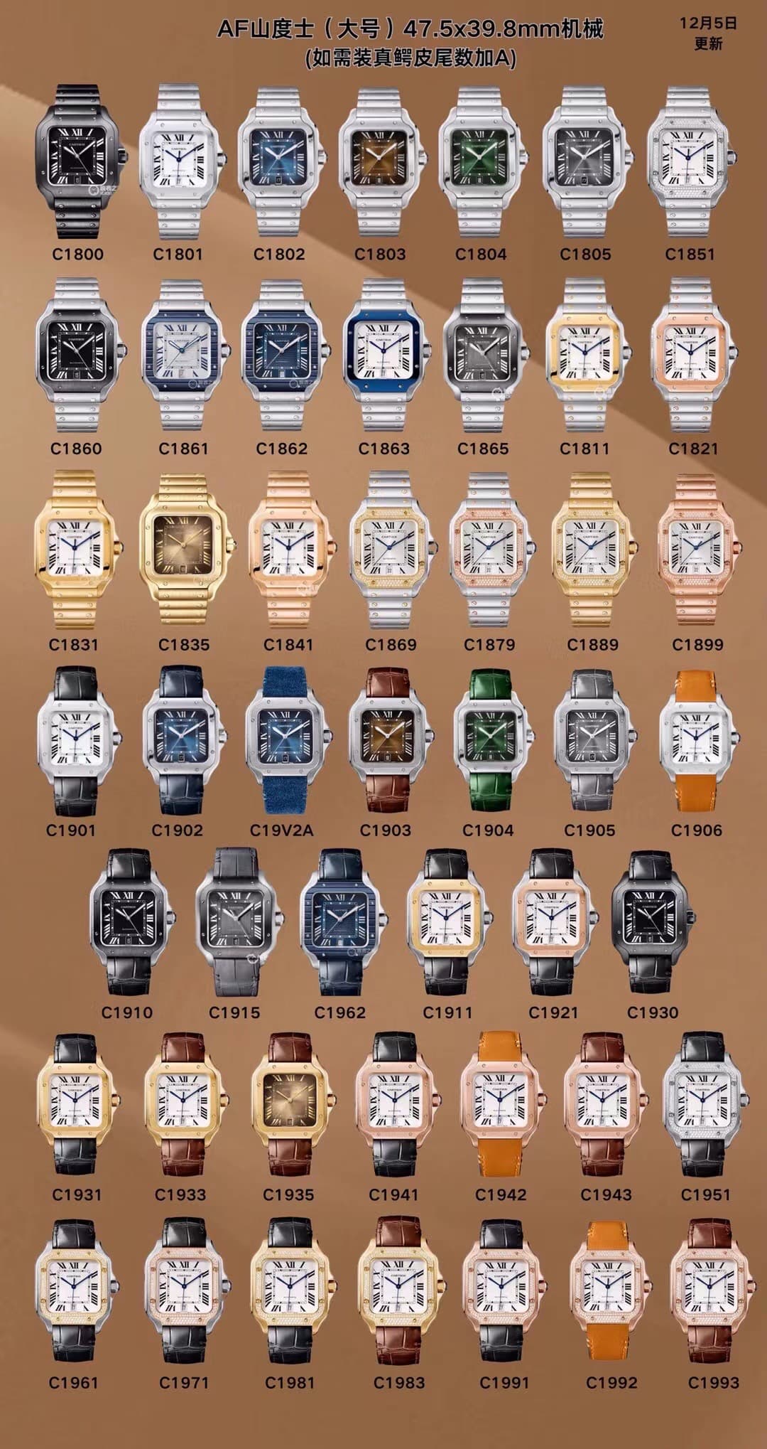 Cartier Watch