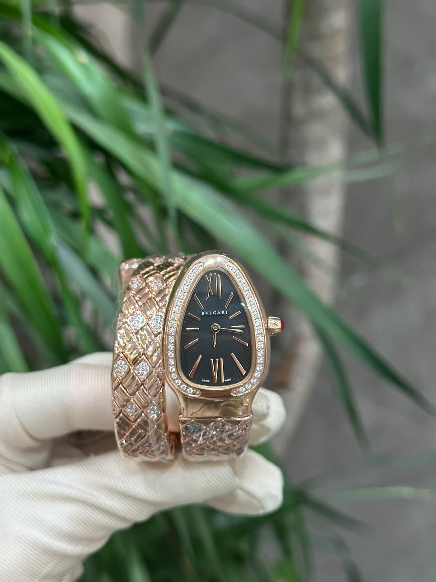 Bottega Veneta Watch