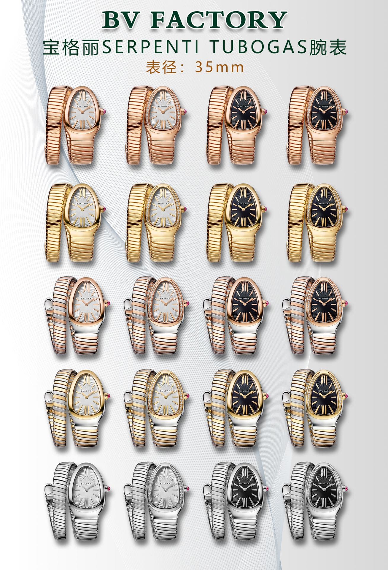 Bulgari Watch