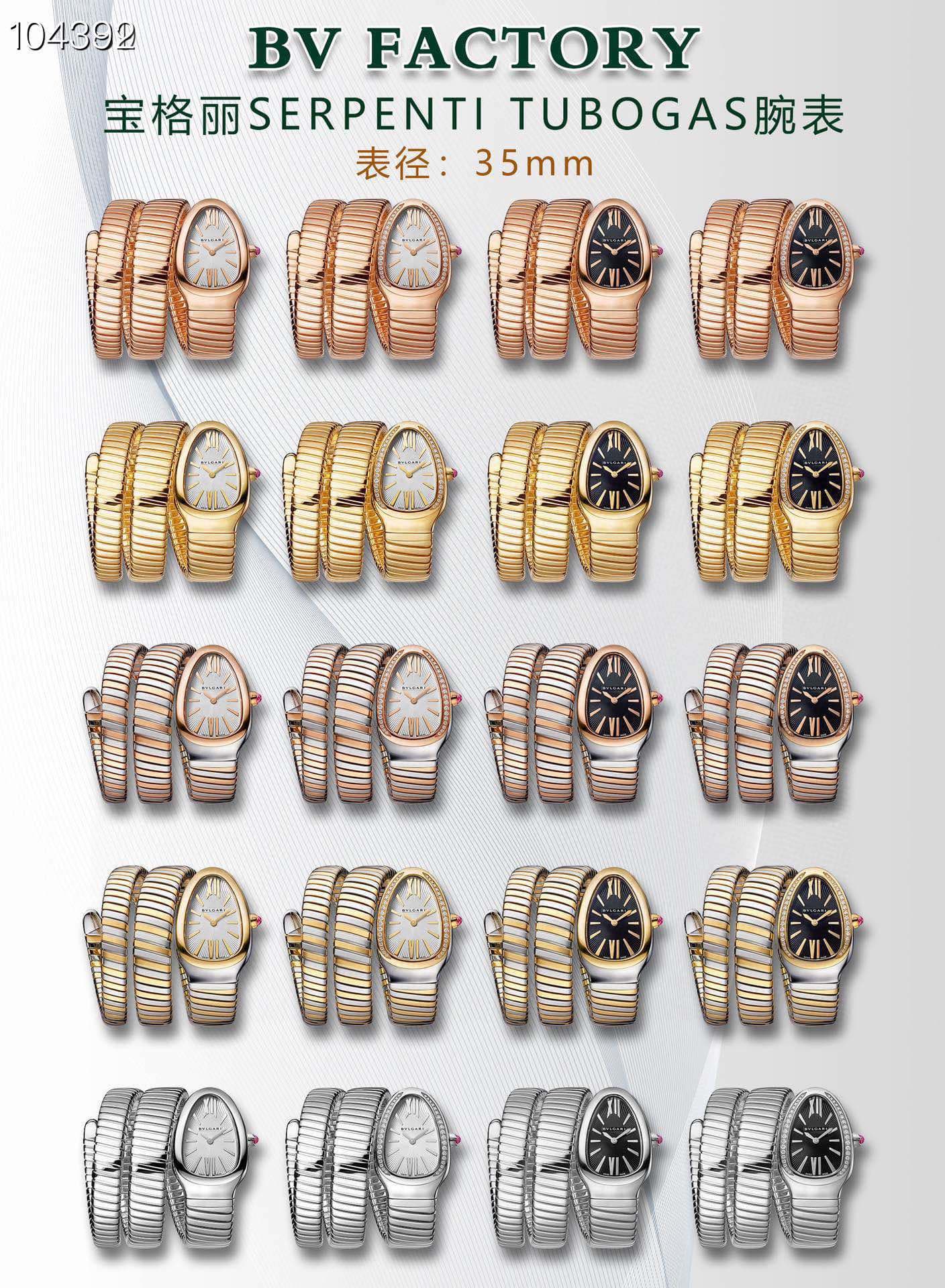Bulgari Watch