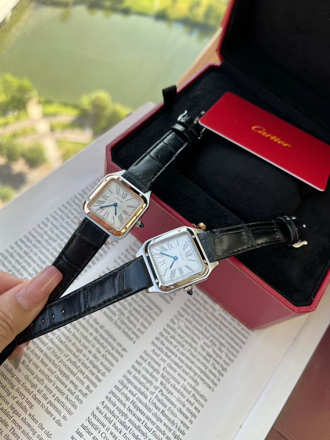Lacoste Blue Watch